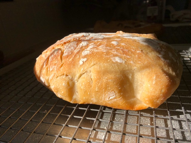 regular bread looking like pita